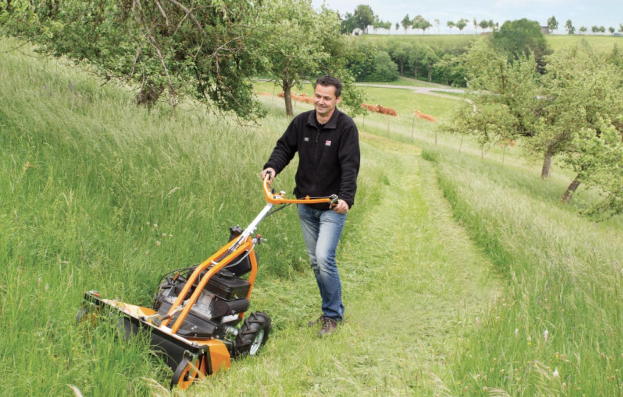 AS-Motor AS 63 4T B&S professzionális magasgazvágó (mindentnyíró)