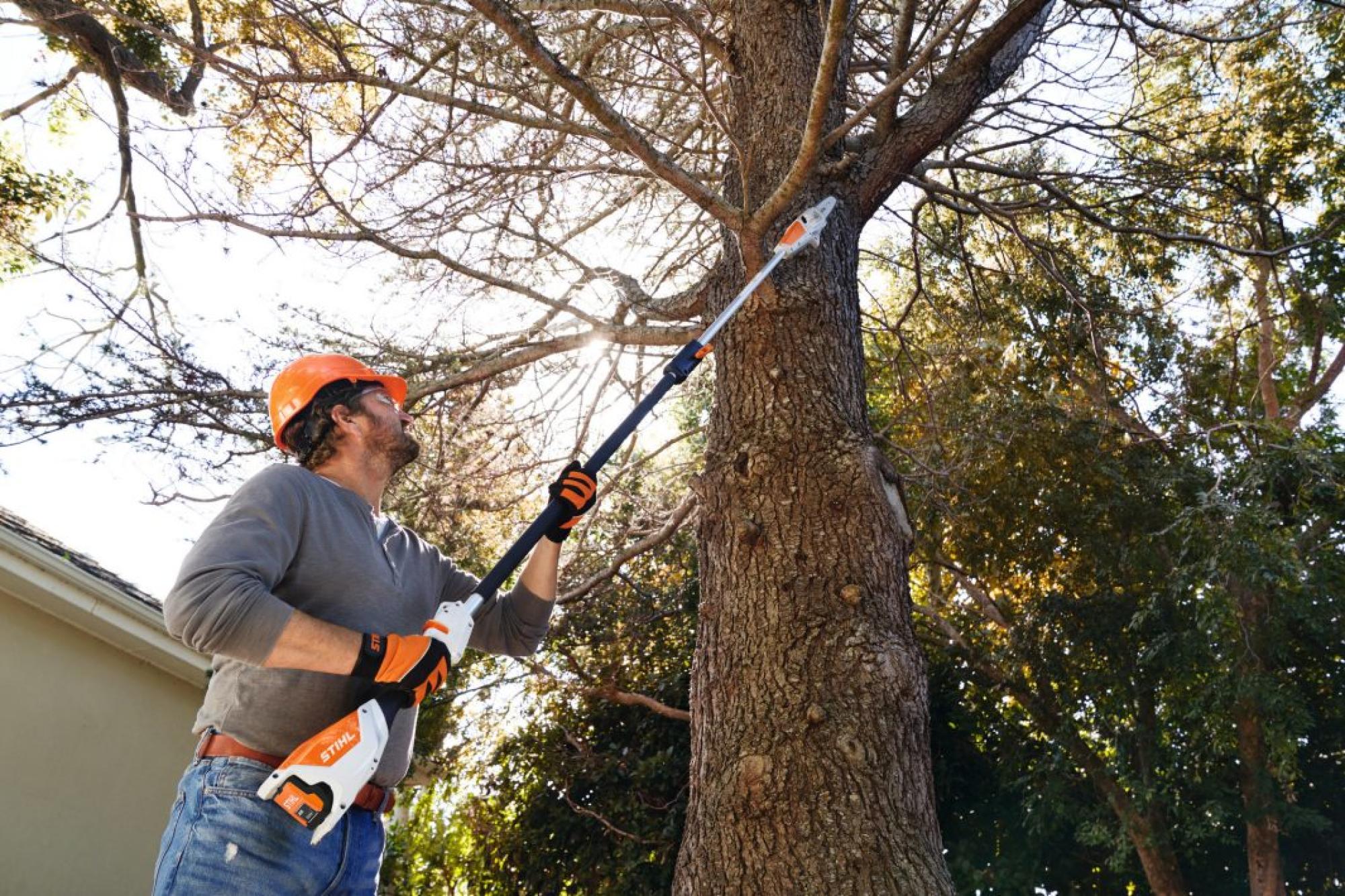 STIHL HTA 50 AK Akkumulátoros magassági ágnyeső (AK 20 akkumulátorral és AL 101 töltővel)