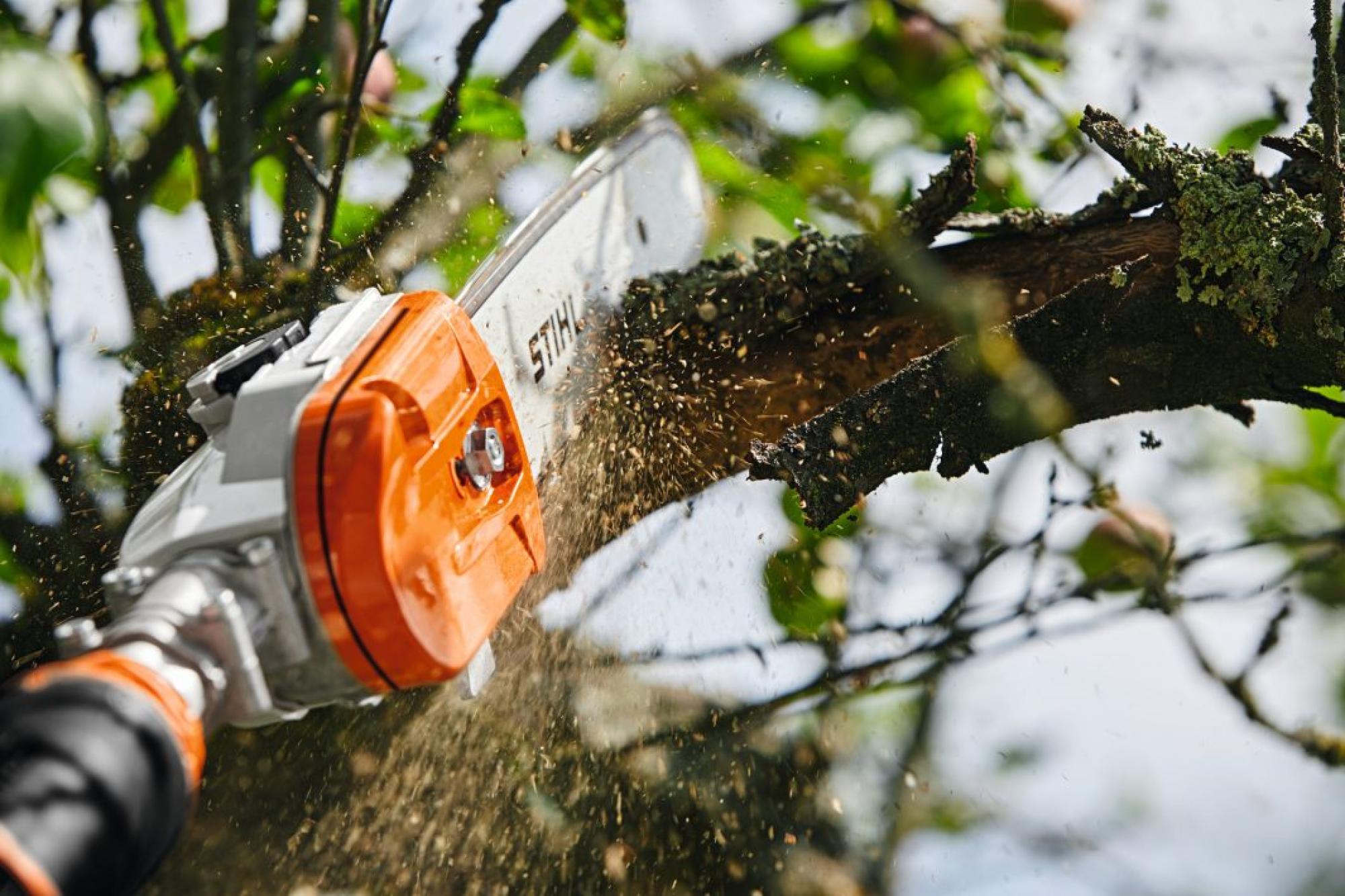 STIHL HTA 135 AP Akkumulátoros magassági ágnyeső (Akkumulátor és töltő nélkül)