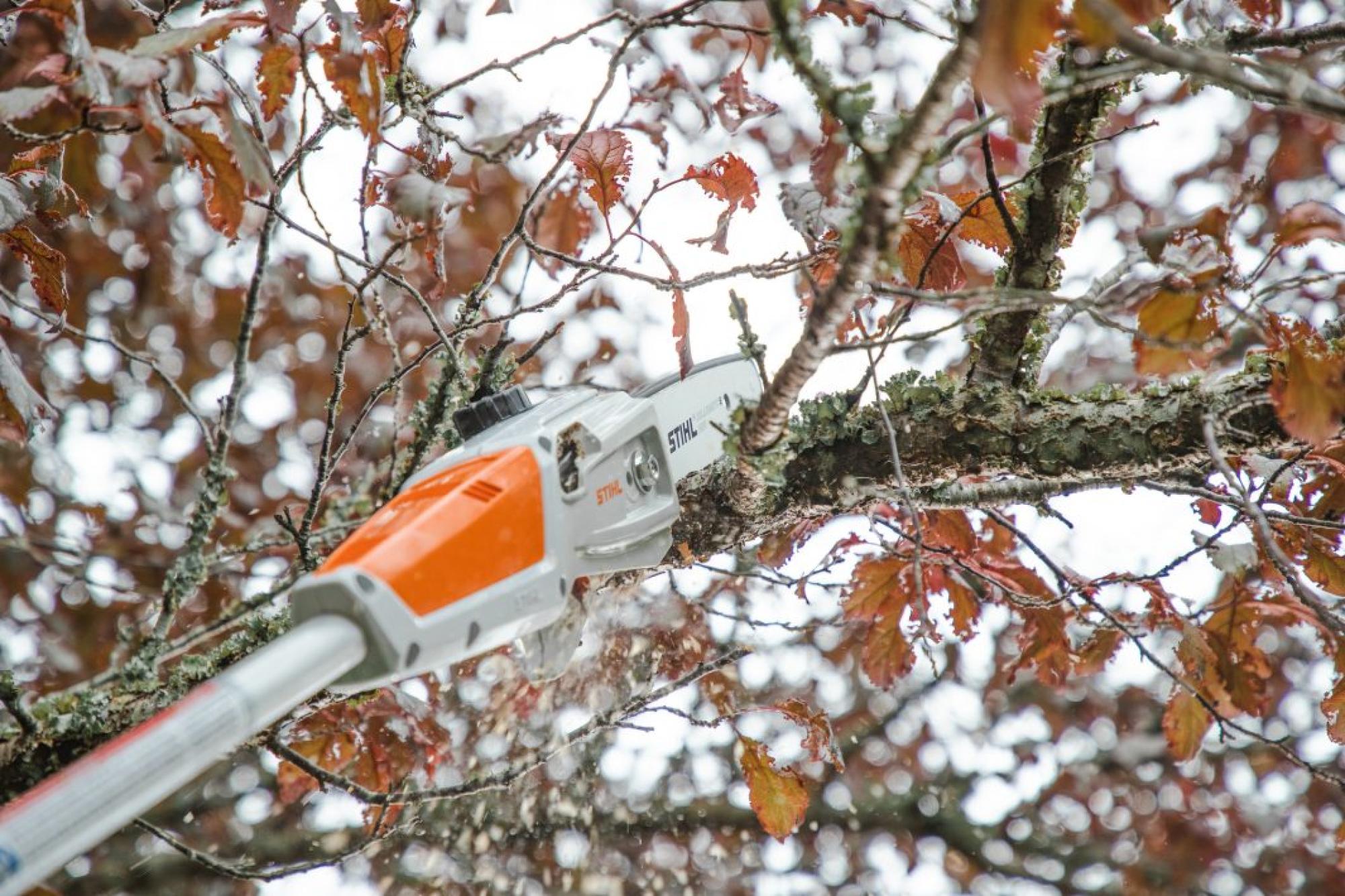 STIHL HTA 50 AK Akkumulátoros magassági ágnyeső (AK 20 akkumulátorral és AL 101 töltővel)
